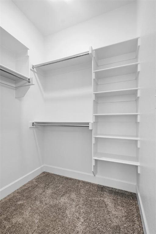 walk in closet with carpet floors