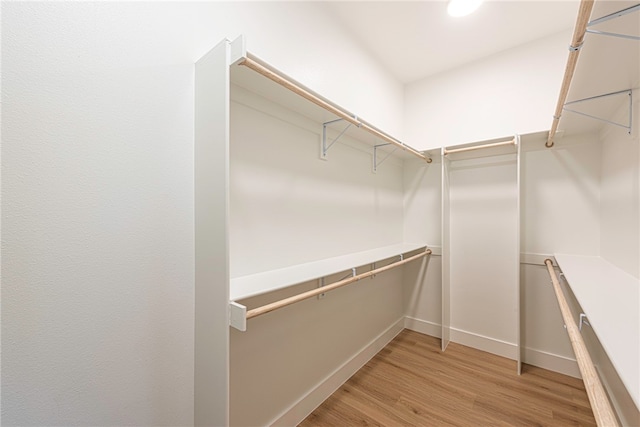 spacious closet featuring hardwood / wood-style flooring