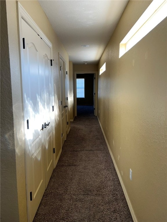 hall featuring dark colored carpet and a healthy amount of sunlight