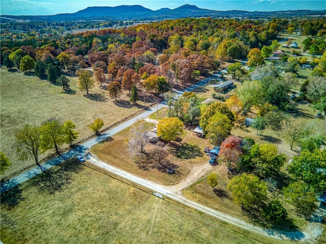 birds eye view of property featuring a mountain view