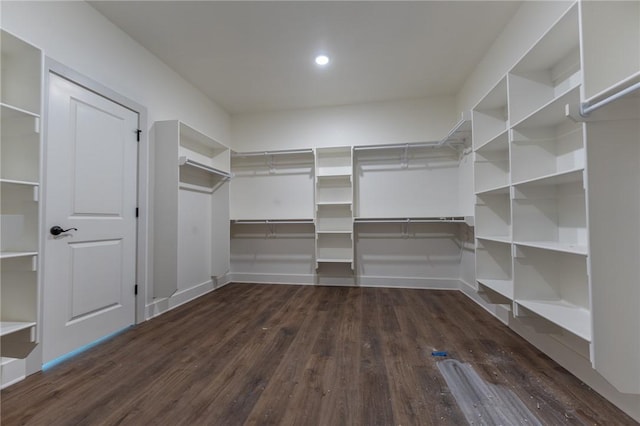 walk in closet with dark wood-type flooring