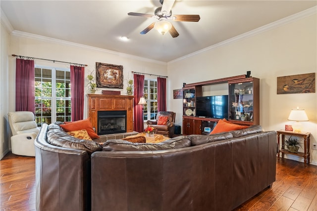 living room featuring dark wood-type flooring, ceiling fan, ornamental molding, and a wealth of natural light