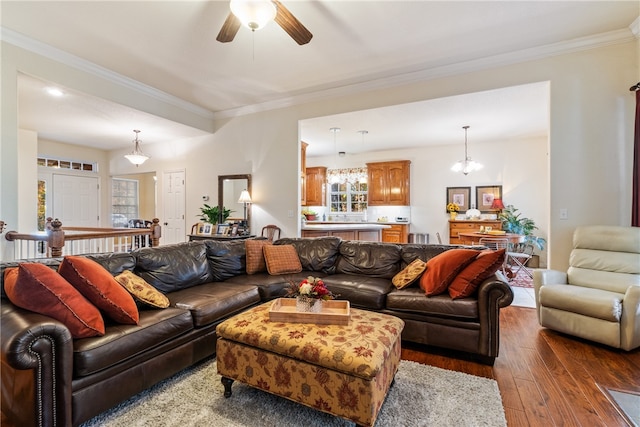 living room with ceiling fan, ornamental molding, and wood-type flooring