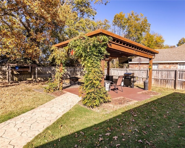 view of yard featuring a patio