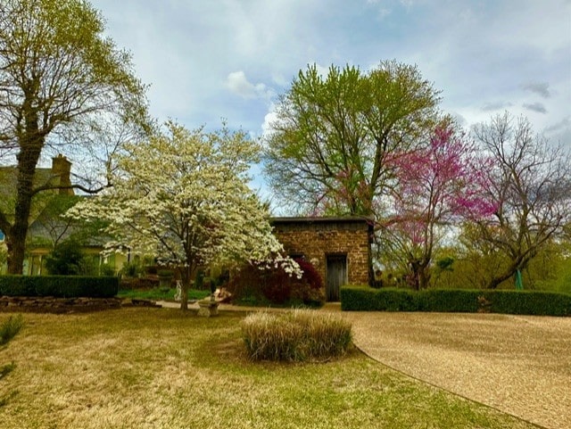 view of front of property featuring a front lawn