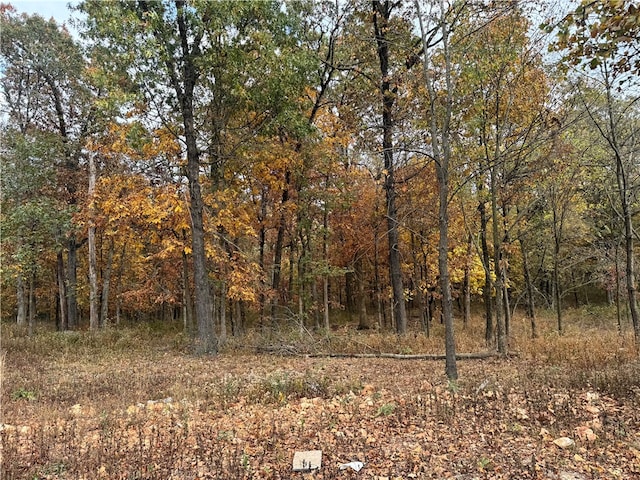 view of local wilderness