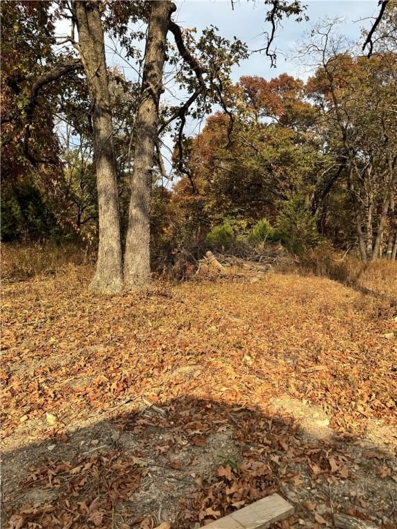 9306 Pleasant Valley Rd, Gentry, AR 72734 - view of yard