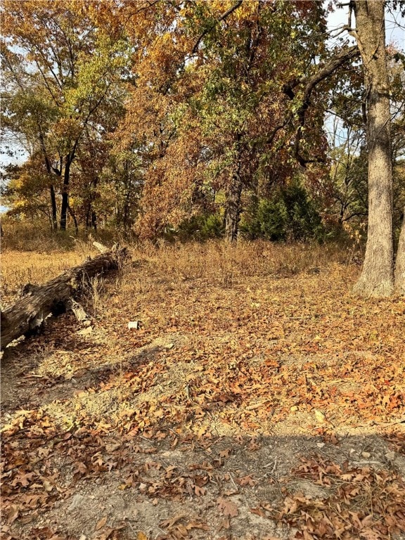 view of local wilderness