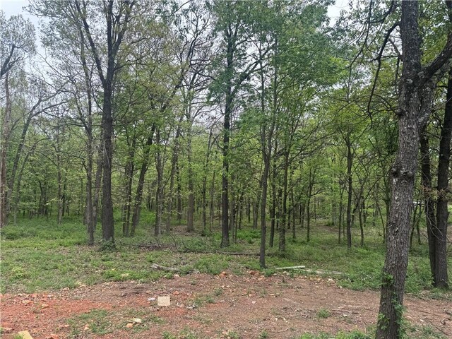 9306 Pleasant Valley Rd, Gentry, AR 72734 - view of nature with a view of trees