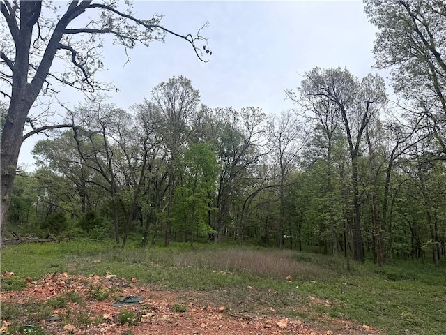 9306 Pleasant Valley Rd, Gentry, AR 72734 - view of wooded area