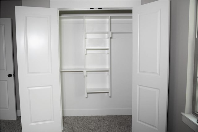 9306 Pleasant Valley Rd, Gentry, AR 72734 - view of closet