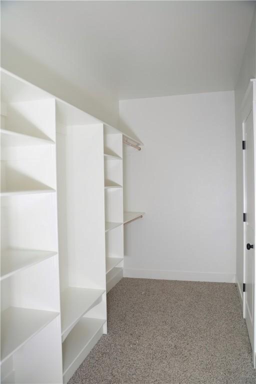 9306 Pleasant Valley Rd, Gentry, AR 72734 - spacious closet with carpet floors