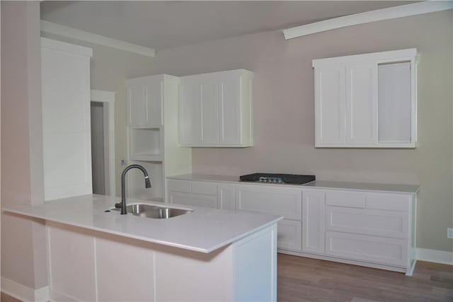 9306 Pleasant Valley Rd, Gentry, AR 72734 - kitchen featuring a sink, a peninsula, white cabinets, wood finished floors, and light countertops