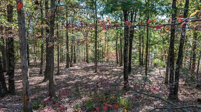 view of local wilderness with a view of trees