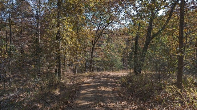 view of street featuring a wooded view