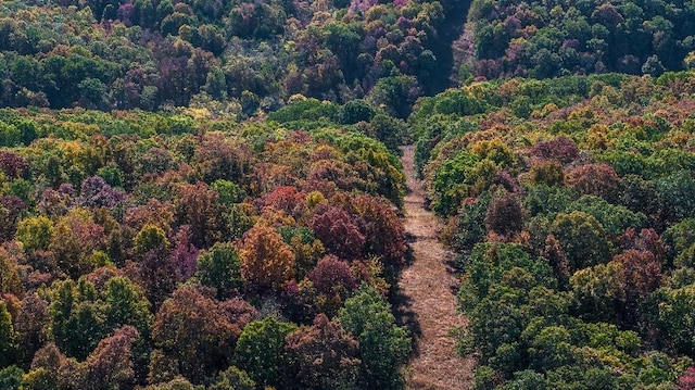 bird's eye view featuring a forest view