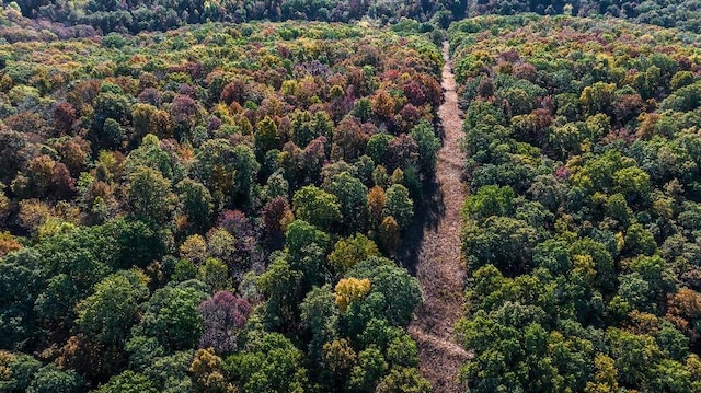 aerial view featuring a view of trees