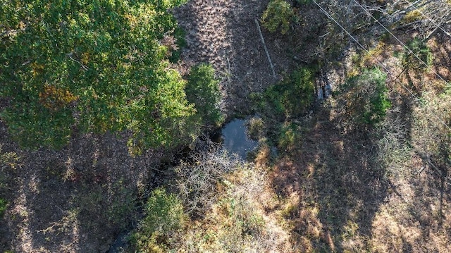 drone / aerial view featuring a forest view