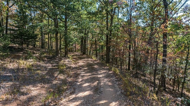 view of road with a view of trees