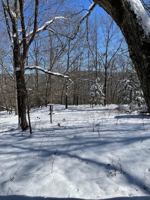 view of yard covered in snow