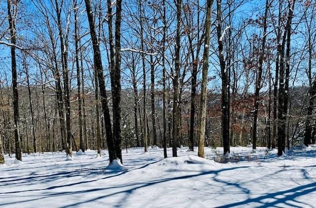 yard covered in snow with a forest view