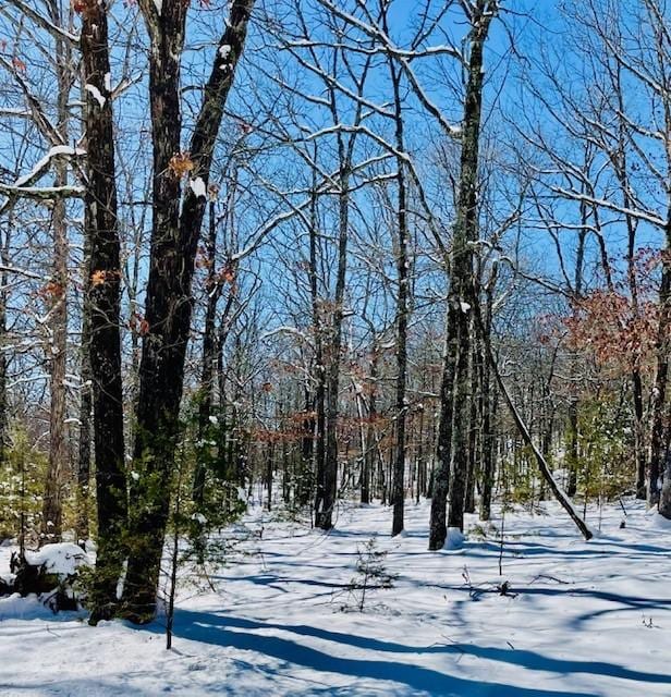 view of yard layered in snow