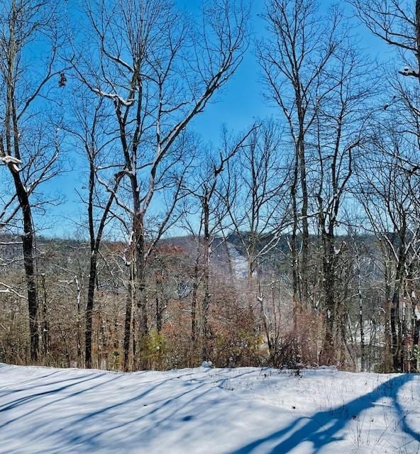 mountain view featuring a wooded view