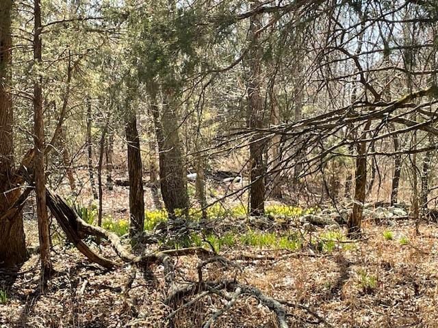 view of nature featuring a forest view