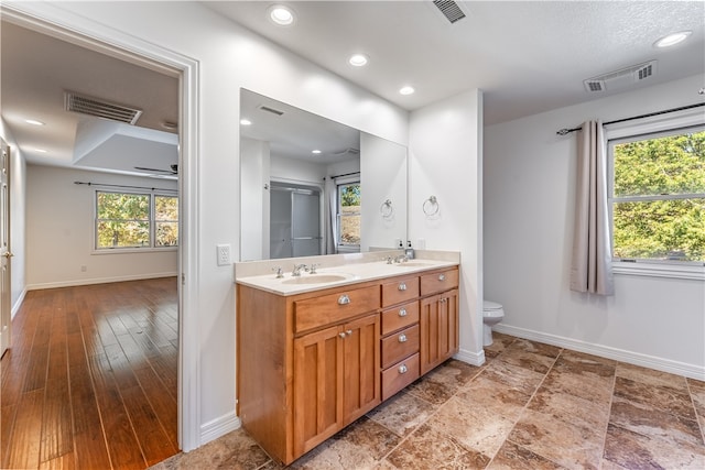 bathroom with a healthy amount of sunlight, vanity, wood-type flooring, and toilet