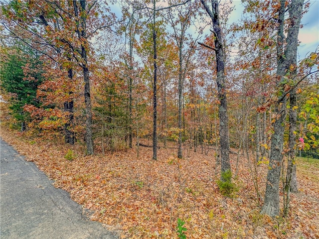 Listing photo 2 for LOT37BLOCK4 Wigtown Ln, Bella Vista AR 72715