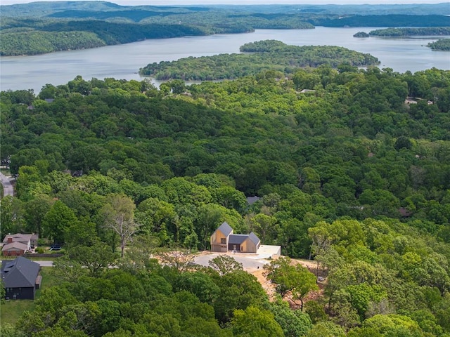 8912 Anew Rd, Rogers, AR 72756 - aerial view of a forest and a nearby body of water