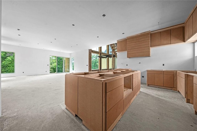 8912 Anew Rd, Rogers, AR 72756 - kitchen featuring light carpet and modern cabinets