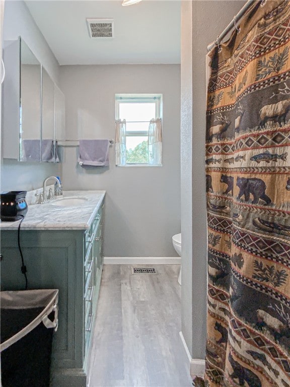 bathroom featuring vanity, toilet, and hardwood / wood-style flooring