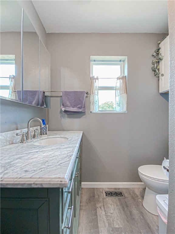 bathroom featuring vanity, toilet, and hardwood / wood-style floors