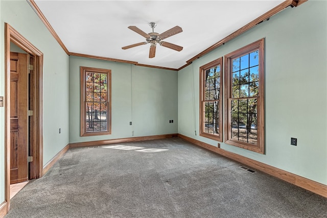 empty room with carpet and a wealth of natural light