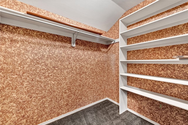 walk in closet featuring vaulted ceiling and carpet floors