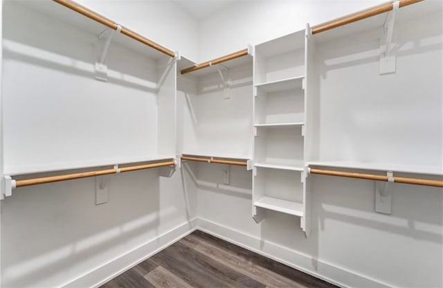 spacious closet with dark hardwood / wood-style floors