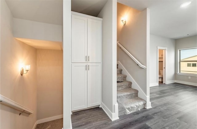 stairs with hardwood / wood-style flooring