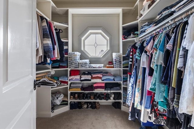 spacious closet with carpet floors