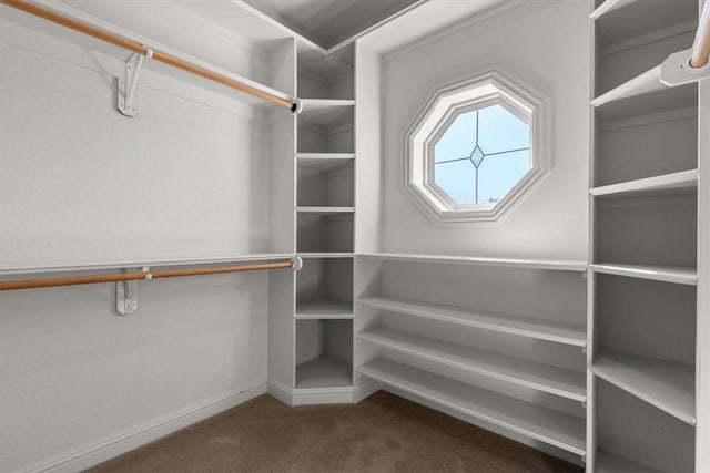 14600 S Mountain, Lowell, AR 72745 - spacious closet featuring carpet floors