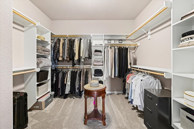 walk in closet with carpet flooring