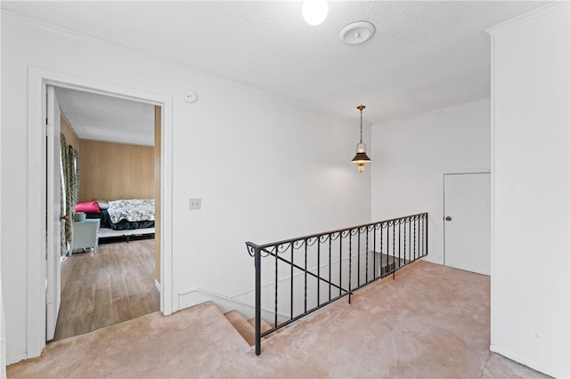 hall featuring carpet and a textured ceiling