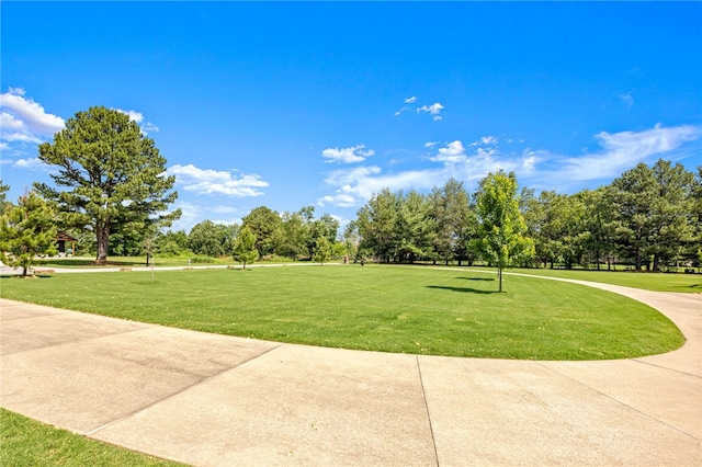 view of home's community with a lawn