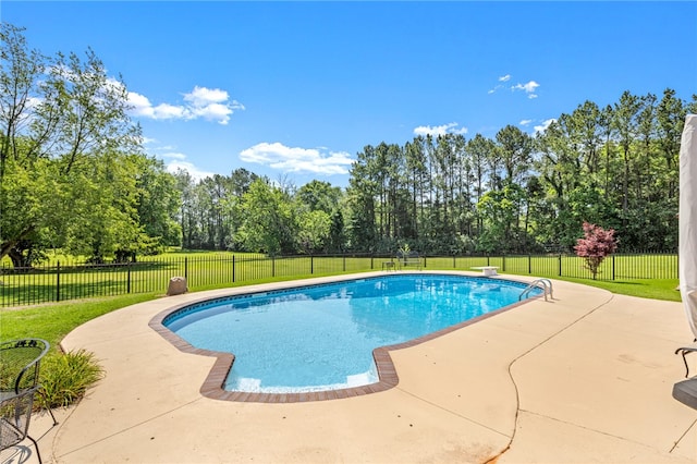 view of swimming pool with a patio area and a yard