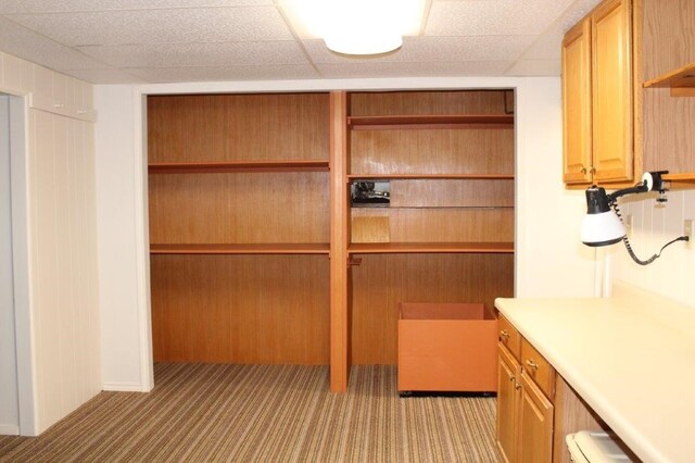 18960 Coppermine Rd, Rogers, AR 72756 - interior space with open shelves, light countertops, a paneled ceiling, and light colored carpet