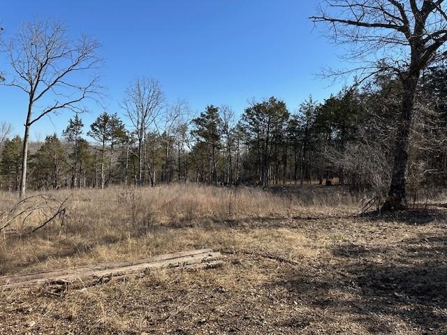 Warden Rd, Omaha AR, 72662 land for sale