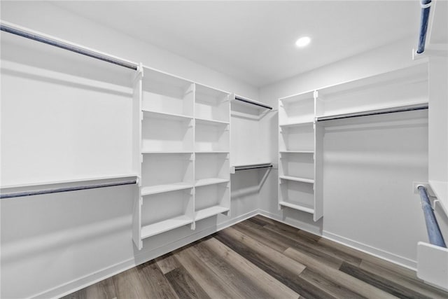 spacious closet with dark hardwood / wood-style floors