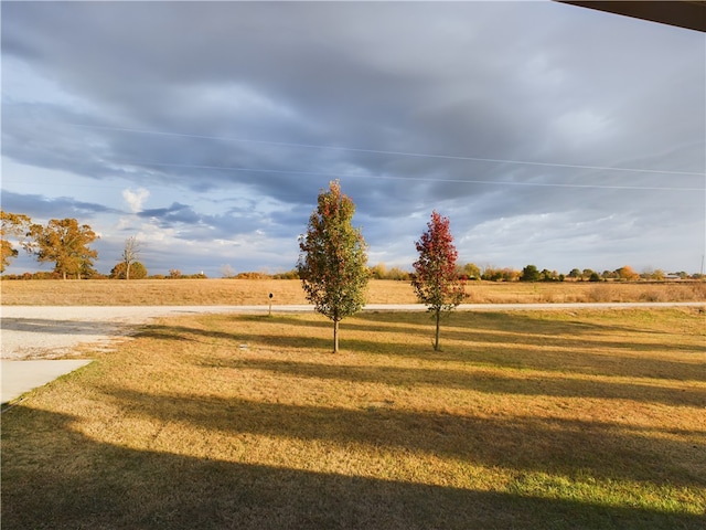 view of yard with a rural view