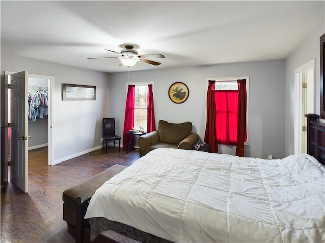 bedroom featuring ceiling fan, a spacious closet, dark wood-type flooring, and a closet