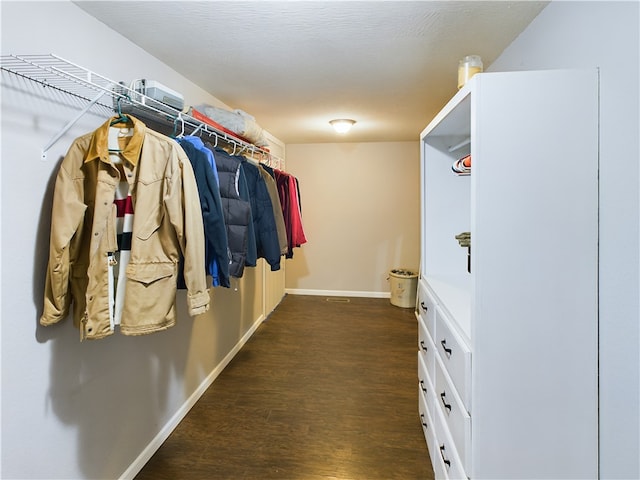 walk in closet with dark wood-type flooring